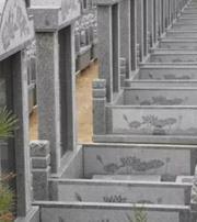 滁州祖坟墓地出现这种现象，大事不妙，千万要注意了！